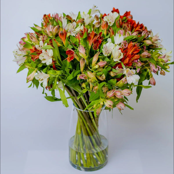 Bi-Weekly Flower Subscription