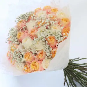 Garden Scented Roses