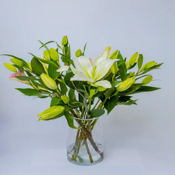 Elegant Lilies