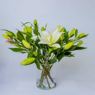 Elegant Lilies