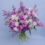 Majestic Petals bouquet featuring matthiola, white mums, pink carnations, and purple limonium, arranged by Zuri Blooms