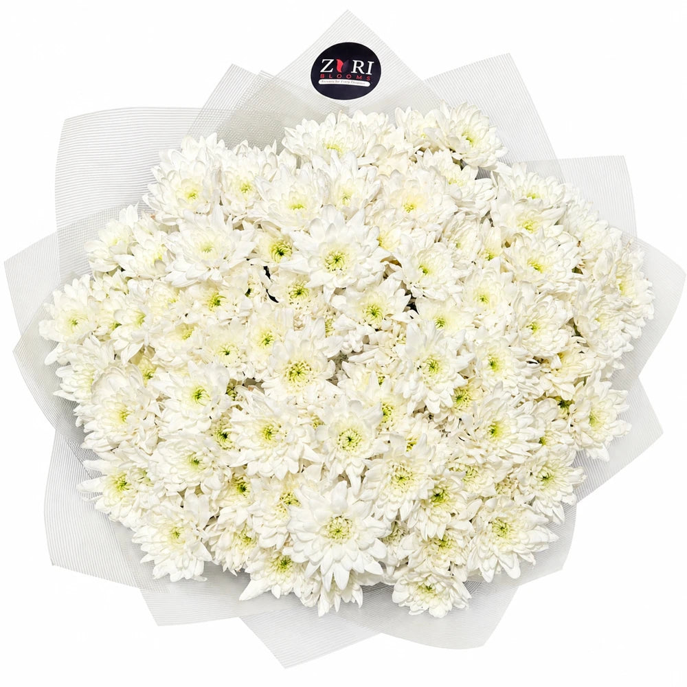 Pure Chrysanthemum